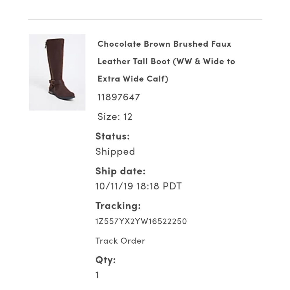 Torrid Boots Size 12